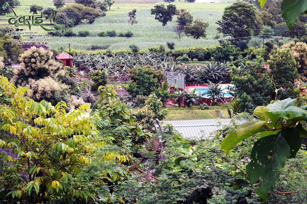 Deorai Farms And Agro Resort 푸네 외부 사진